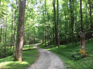 mountain path through forest at sanctuary retreat center