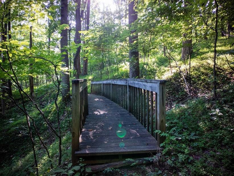 Wooden bridge over walking trail at Sanctuary