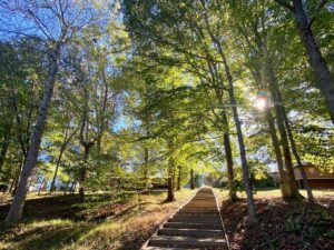 Walking path stairs on a nature path