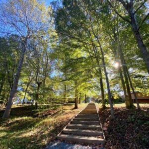 Picture of outdoor stairs on the walking path at Sanctuary with sunlight peaking through the surrounding trees.